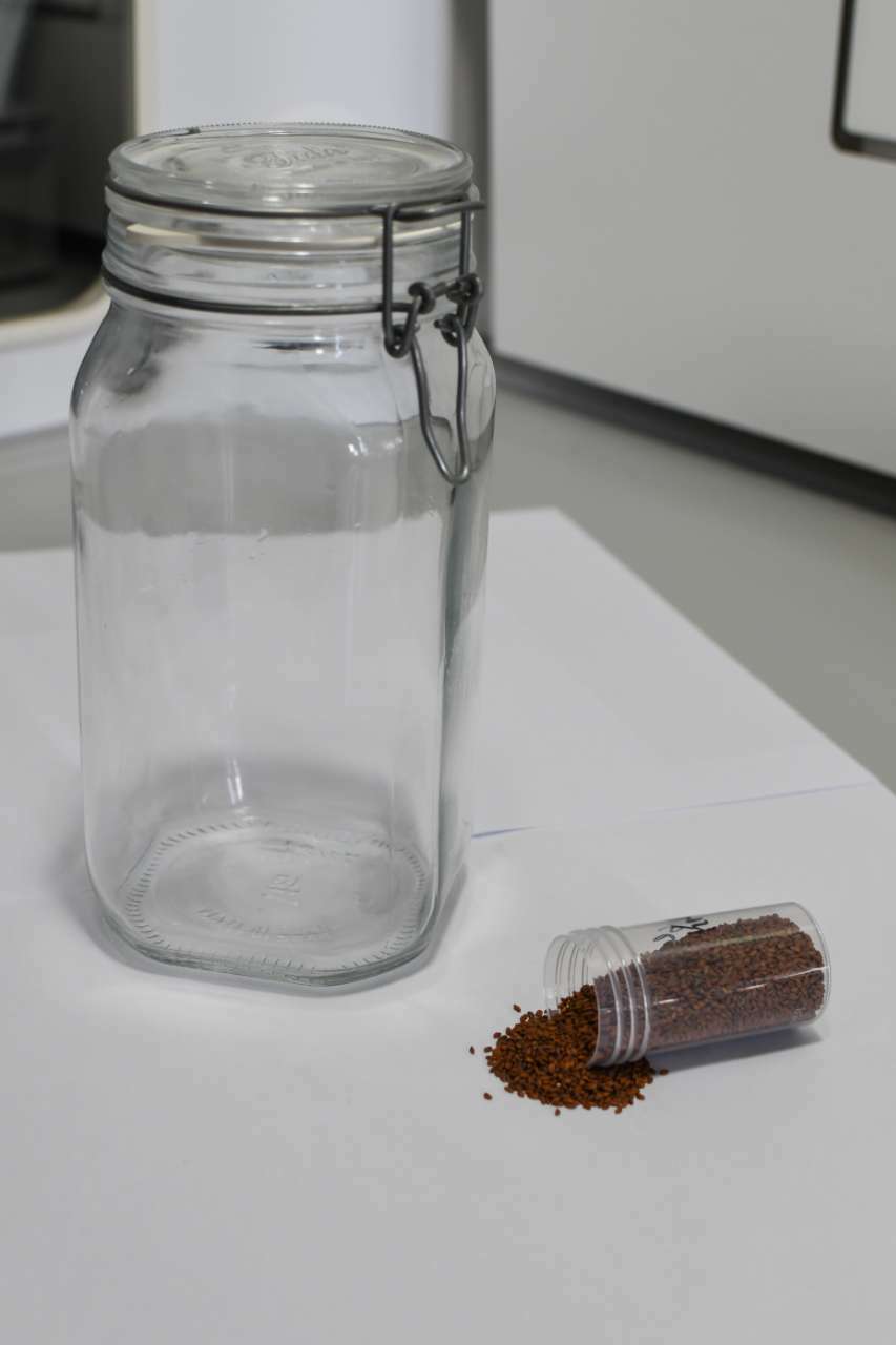 Glas mit Kresse